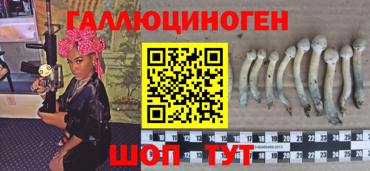 Галлюциногенные грибы прущие грибы Похвистнево