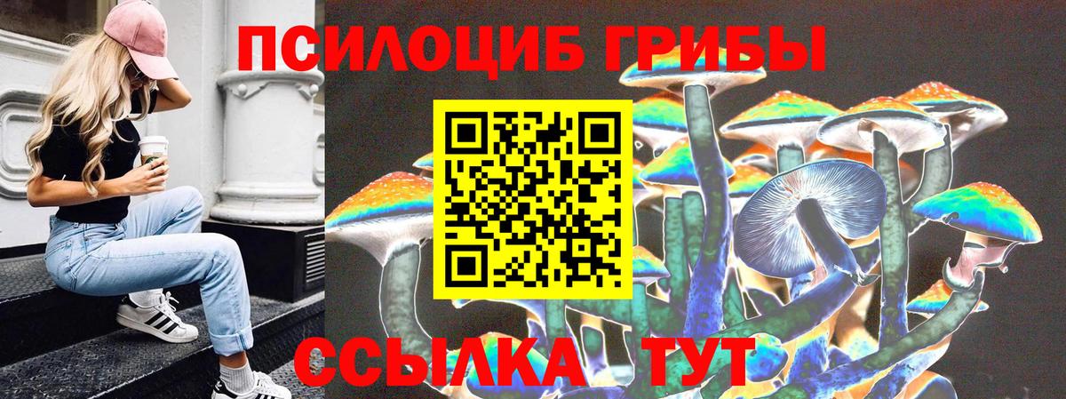 Похвистнево  Псилоцибиновые грибы мицелий  Псилоцибиновые грибы Psilocybe  магазин    Вход с VPN 
