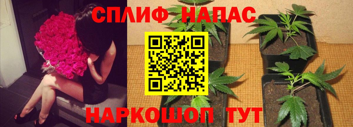 Каннабис LSD WEED  Канабис марихуана  Вход с VPN  Бошки Шишки Amnesia  Похвистнево 